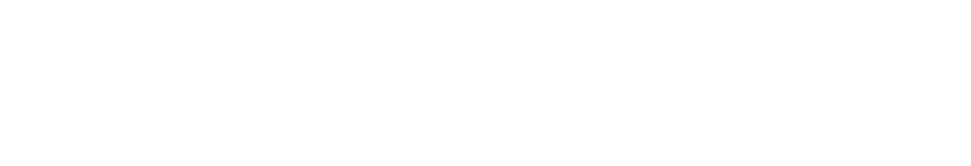 Brooklynmaxx GmbH Logo